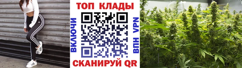 Виды наркотиков купить Боровичи Гашиш КОКАИН Меф МАРИХУАНА