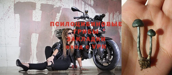 твердый Балахна