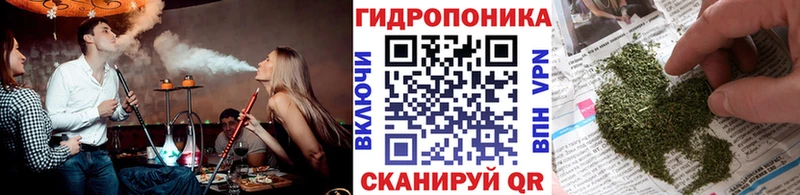Бошки Шишки Ganja  Боровичи 